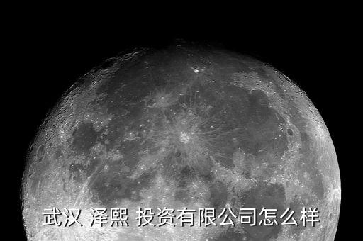 澤熙投資怎么買(mǎi),武漢澤熙投資有限公司信息介紹