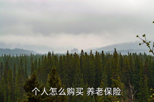 個人買養(yǎng)老保險(xiǎn)怎么買,如何申請個人養(yǎng)老保險(xiǎn)?