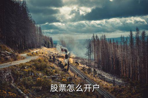  股票怎么開(kāi)戶(hù)