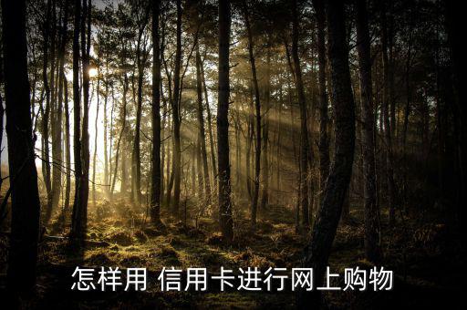 怎樣用 信用卡進行網上購物