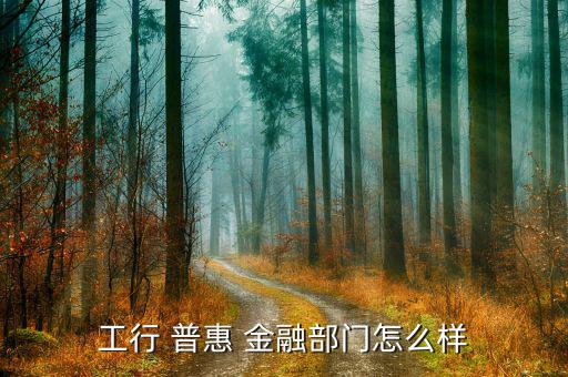 普惠金融怎么建模,平安普惠各產品申請條件和材料不一致