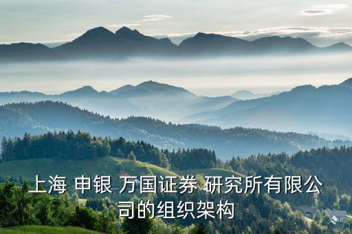 上海 申銀 萬國證券 研究所有限公司的組織架構