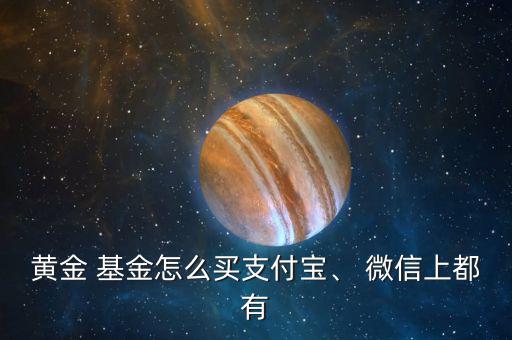 黃金 基金怎么買支付寶、 微信上都有