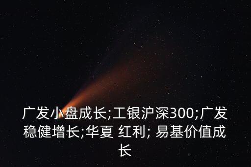 廣發(fā)小盤(pán)成長(zhǎng);工銀滬深300;廣發(fā)穩(wěn)健增長(zhǎng);華夏 紅利; 易基價(jià)值成長(zhǎng)