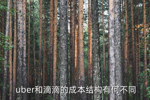  uber和滴滴的成本結(jié)構有何不同
