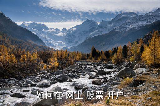 怎么在網上開戶股票,網上快遞開戶炒股需要準備什么東西?
