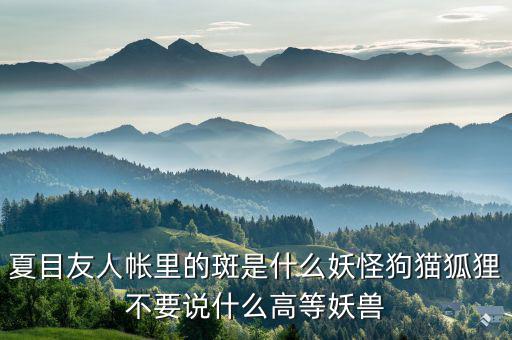 什么是棄風(fēng)限電，什么是理想非極化電極