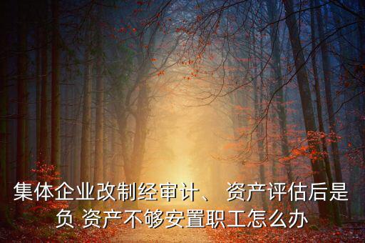 集體企業(yè)改制經(jīng)審計(jì)、 資產(chǎn)評(píng)估后是負(fù) 資產(chǎn)不夠安置職工怎么辦