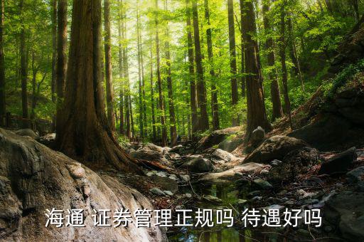 海通證券待遇怎么樣,海通證券河南分公司成立投資咨詢(xún)業(yè)務(wù)