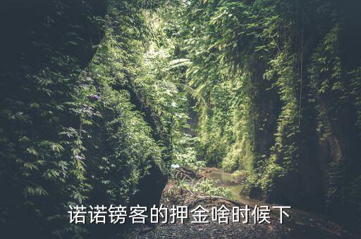 諾諾鎊客里的收本金額是什么，諾諾鎊客的押金啥時(shí)候下