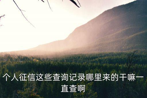 有些人大量查詢征信干什么，查征信有啥用