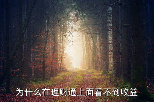 投資60元理財(cái)通為什么沒(méi)收益，為什么在理財(cái)通上面看不到收益