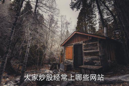 看股票都上什么網(wǎng)站，請問常用的網(wǎng)上交易股票的網(wǎng)站有那些