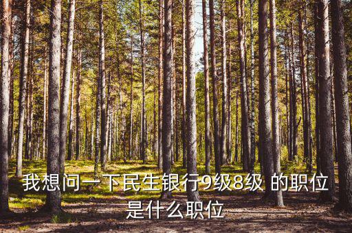 銀行評級8級是什么，銀行貸款評級