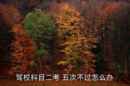 駕?？颇慷?五次不過怎么辦