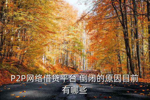 p2p倒閉公告怎么寫,網(wǎng)貸平臺倒閉有幾個(gè)原因