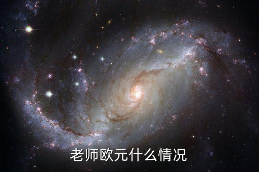 歐元國(guó)家是什么意思，老師歐元什么情況