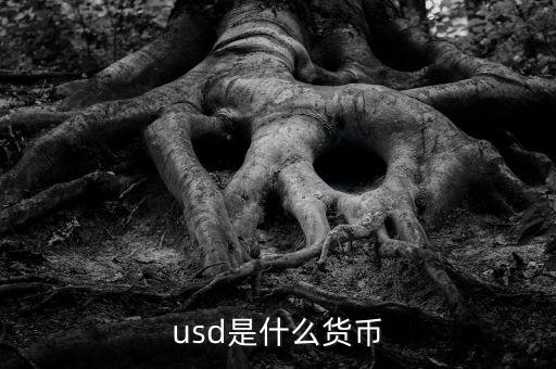 usd什么貨幣，什么是USD