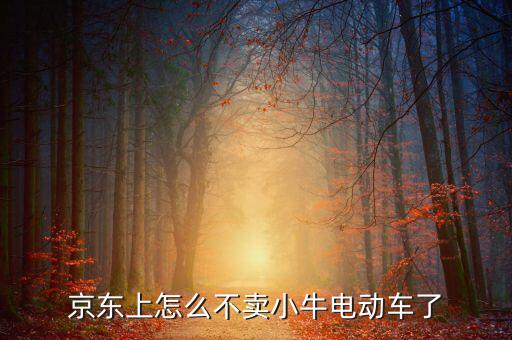 京東什么時候開放小牛，京東上怎么不賣小牛電動車了