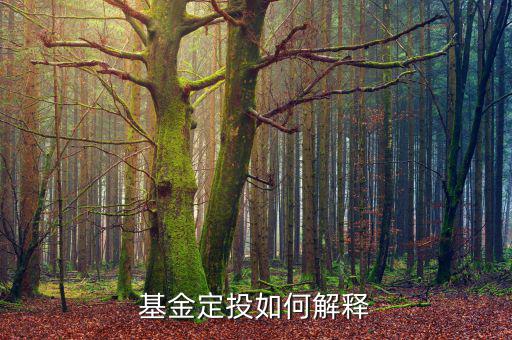 定投是什么，什么是定投基金