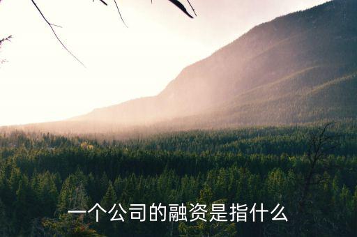 什么叫融資，一個公司的融資是指什么
