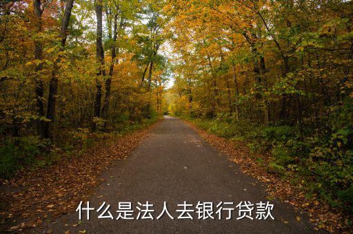 什么是法人銀行，中國農(nóng)業(yè)銀行是什么法人