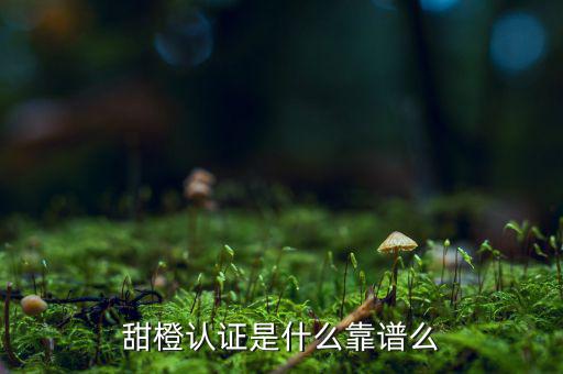 甜橙金融公司是什么，便捷的網(wǎng)貸理財企業(yè)是什么