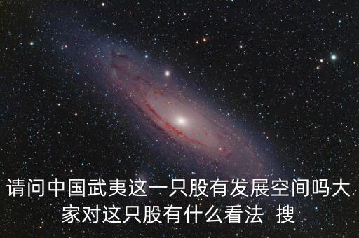 請(qǐng)問中國武夷這一只股有發(fā)展空間嗎大家對(duì)這只股有什么看法  搜
