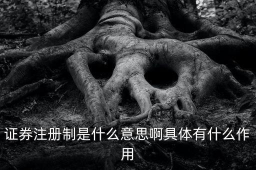 證券注冊(cè)制什么意思，證券注冊(cè)制是什么意思啊具體有什么作用