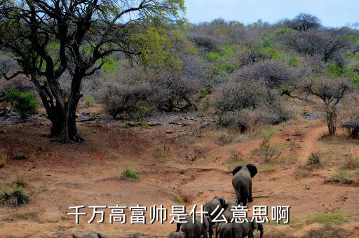 千萬身家是什么概念，千萬高富帥是什么意思啊