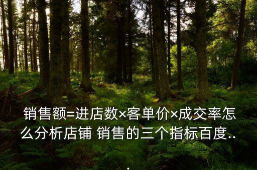  銷售額=進(jìn)店數(shù)×客單價(jià)×成交率怎么分析店鋪 銷售的三個指標(biāo)百度...