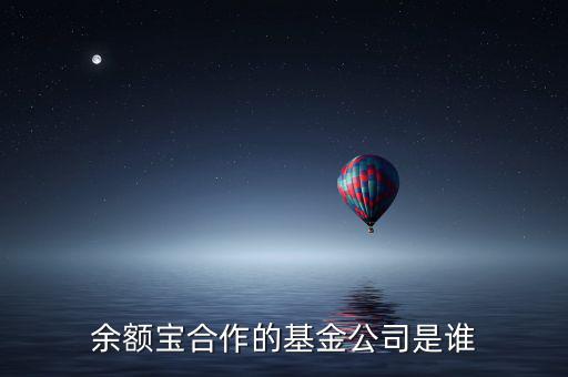 余額寶投資過什么公司，余額寶合作的基金公司是誰