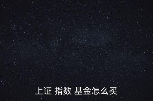上證 指數(shù) 基金怎么買(mǎi)