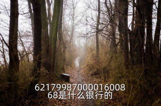 中債資信屬于什么銀行，6217998700001600868是什么銀行的