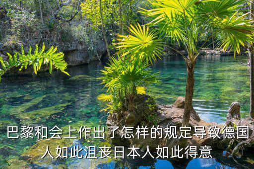 巴黎和會上作出了怎樣的規(guī)定導致德國人如此沮喪日本人如此得意