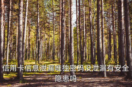 信用卡信息泄露有什么風(fēng)險(xiǎn)，信用卡信息泄漏唯獨(dú)密碼沒泄漏有安全隱患嗎