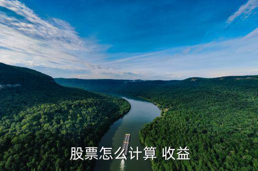 股票投資怎么看年收益,e.凈資產(chǎn)收益率是投資效應系數(shù)的簡稱