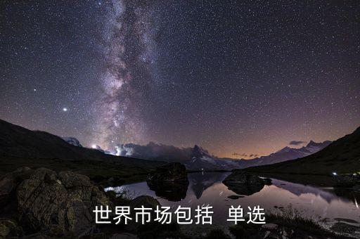 世界市場包括什么，世界上分哪些市場