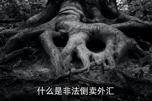 為什么會非法買賣外匯，私下交易外幣為什么是違法行為