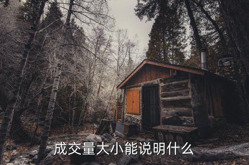 股票成交量大說(shuō)明什么，股票中成交量多代表了什么有誰(shuí)知道