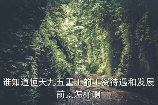 恒天九五什么時(shí)候上市，誰(shuí)知道恒天九五重工的工資待遇和發(fā)展前景怎樣啊
