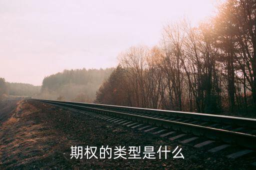期權(quán)的類(lèi)型是什么