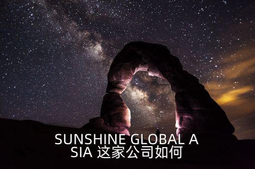 永信亞洲有限公司主要業(yè)務(wù)是什么，SUNSHINE GLOBAL ASIA 這家公司如何