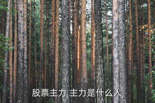 炒股的都是什么人，什么樣的人才是炒股的高手