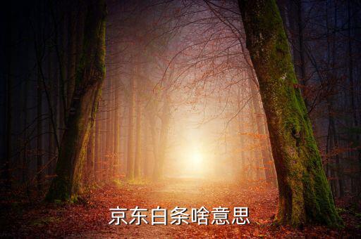 京東白條是什么，京東白條啥意思