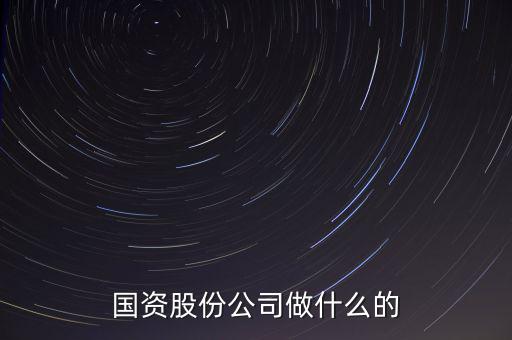 國資公司是做什么的，國資股份公司做什么的