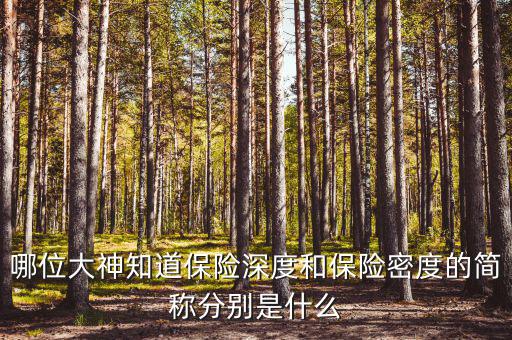 什么叫保險密度，保險深度與密度是什么