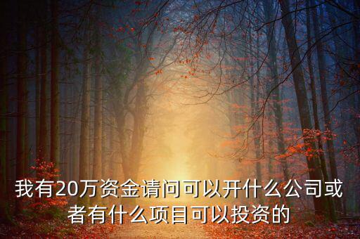 我有20萬(wàn)資金請(qǐng)問可以開什么公司或者有什么項(xiàng)目可以投資的