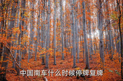 中國(guó)南車什么情況，中國(guó)南車跌停預(yù)示著大盤明天有什么狀況