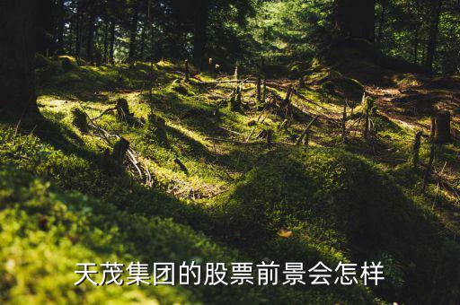 國泰醫(yī)藥什么時候復(fù)牌，天茂集團的股票前景會怎樣